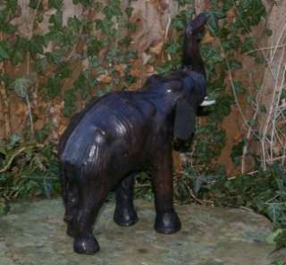 SELLING ON AUCTION A LARGE AFRICAN ELEPHANT WITH IMPRESSIVE SIZE AND 