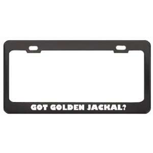 Got Golden Jackal? Animals Pets Black Metal License Plate Frame Holder 