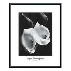     Artist Imogen Cunningham  Poster Size 28 X 22