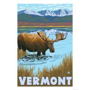  Vermont   Moose Drinking in Lake Premium Poster Print 