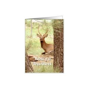 Bachelor Party Invitation Deer Wildlife Nature Card