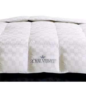   Velvet Lightweight European White Down KING Comforter