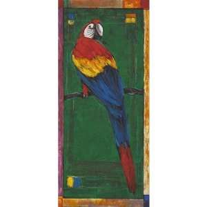  Windsor Vanguard VC1279 Colorful Macaw II by Unknown Size 