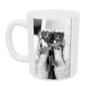  Twin cotton topped Tamarin monkeys   Mug   Standard Size 