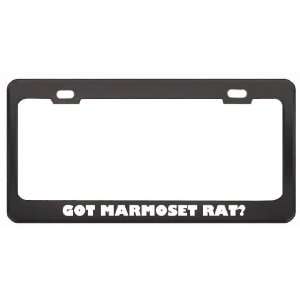 Got Marmoset Rat? Animals Pets Black Metal License Plate Frame Holder 