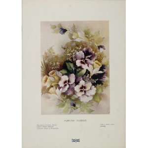  1904 Color Print Purple Pansy Pansies Bouquet Flowers 