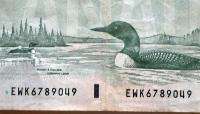 Circulated 1991 BANK of CANADA 20 KNIGHT, DODGE EWK 6789049  