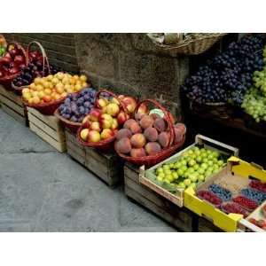  Assorted Fresh Fruits of Berries for Sale at a Siena 