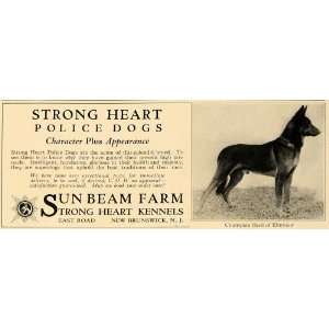   Dogs Sun Beam Farm Strong Heart   Original Print Ad