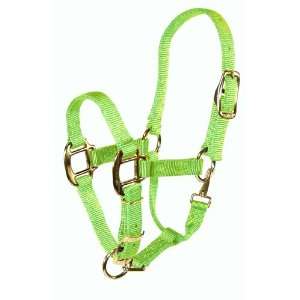  Hamilton 3/4 Adjustable Quality Weanling Halter with Snap 