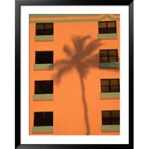  Palm Tree Shadow on Building Facade in the Art Deco 
