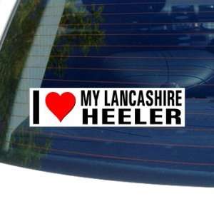   My LANCASHIRE HEELER   Dog Breed   Window Bumper Sticker Automotive