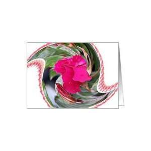  Pink Rose And Buds Flower Swirled Blankcard Notecard Card 