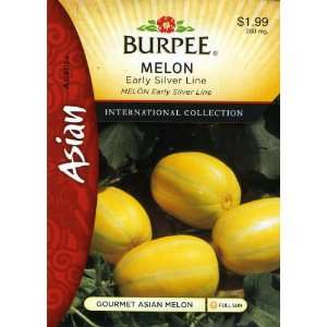  Burpee 69636 Asian   Melon Early Silver Line Hybrid Seed 