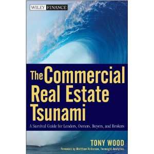 sThe Commercial Real Estate Tsunami A Survival Guide for Lenders 