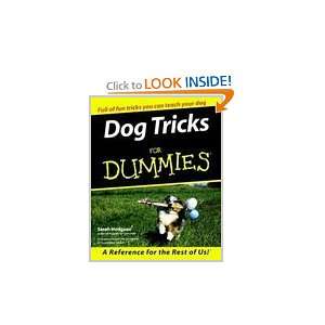  Dog Tricks for Dummies [Paperback] Sarah Hodgson (Author) Books