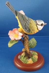 Border Fine Arts Studio Birds   BLUETIT & Apple Blossom  