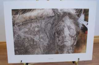 JUDY LARSON RED HORSE LIMITED EDITION PRINT SIGNED RARE  