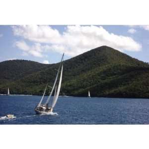 Sailing Tortola Canvas Art by Freddi Betts