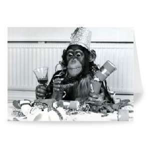  Bengie the chimpanzee at Twycross Zoo   Greeting Card 