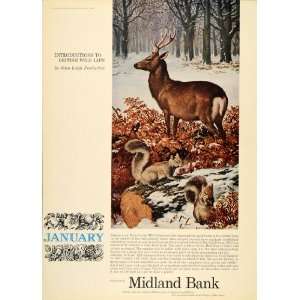   John Leigh Pemberton Sika Deer   Original Print Ad