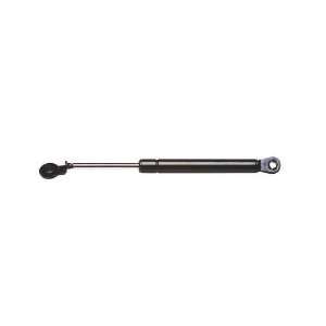  Strong Arm 4679 Trunk Lid Lift Support Automotive
