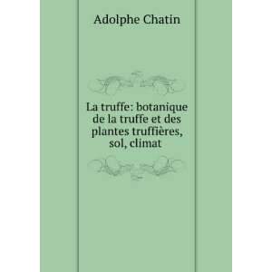  La truffe botanique de la truffe et des plantes truffiÃ 