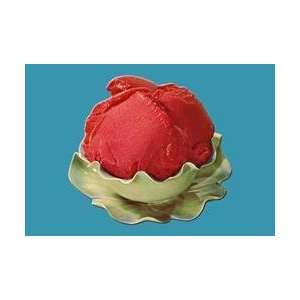  Raspberry Sherbert 20x30 poster