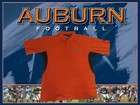 auburn polo  