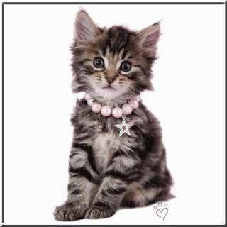 Adorable Charlie Tiger Striped Kitten Kitty Cat WOMENS SHIRTS S,M,L,XL 
