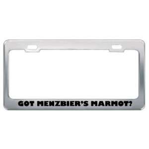 Got MenzbierS Marmot? Animals Pets Metal License Plate Frame Holder 