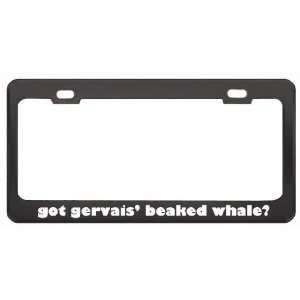 Got Gervais Beaked Whale? Animals Pets Black Metal License Plate 