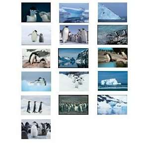  Postcard Booklet Antarctica, The Last Great Wilderness 