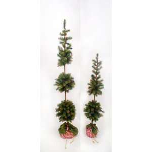   TOPIARY TREES Set of 2 48 36 New Accent Trees
