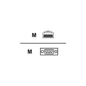  Digi RJ45 to DB9 Cable Electronics