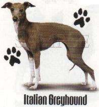 ITALIAN GREYHOUND DOG CARDIGAN SWEATER  