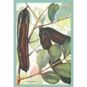 Exclusive By Buyenlarge Carob Bean 12x18 Giclee on canvas  