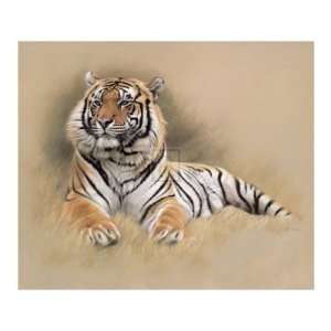  Tiger by Gary Stinton, 40x34