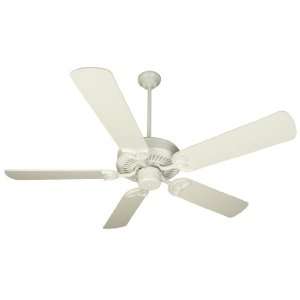  Blade Options Five Blade Energy Star Ceiling Fan with Custom Blade Opt
