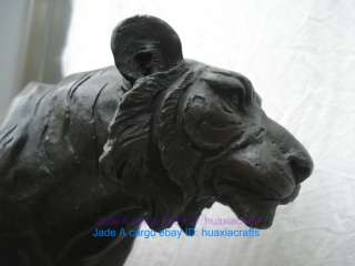 Bronze statue sculpture Bengal Tiger Big cat Beast King  