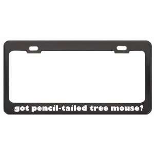 Got Pencil Tailed Tree Mouse? Animals Pets Black Metal License Plate 