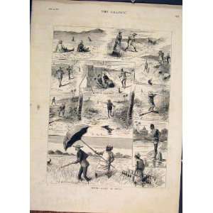  India Sport Rabbit Hunt Hunting Shoot Quail Print 1882 