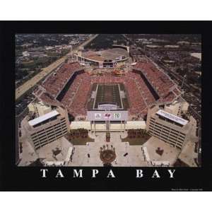  Tampa Bay Rayjames Stadium Poster Print
