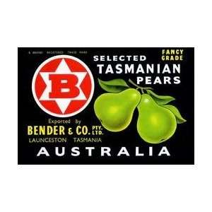  Bender & Co Selected Tasmanian Pears 28x42 Giclee on 