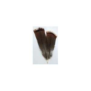  Bronze Pre tail Turkey Feather 