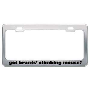 Got Brants Climbing Mouse? Animals Pets Metal License Plate Frame 