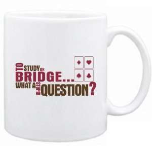 New  To Study Or Bridge  What A Stupid Question ?  Mug Sports 