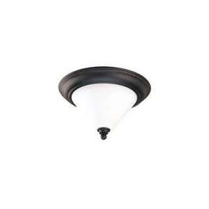  Nuvo Lighting   60/1705   Bridgeview Collection   2 Light 