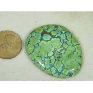  Genuine natural Chinese turquoise lapidary freeform 