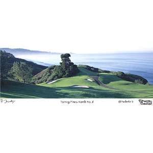  Torrey Pines Photo North Course # 6 (SizeGrand Edition 